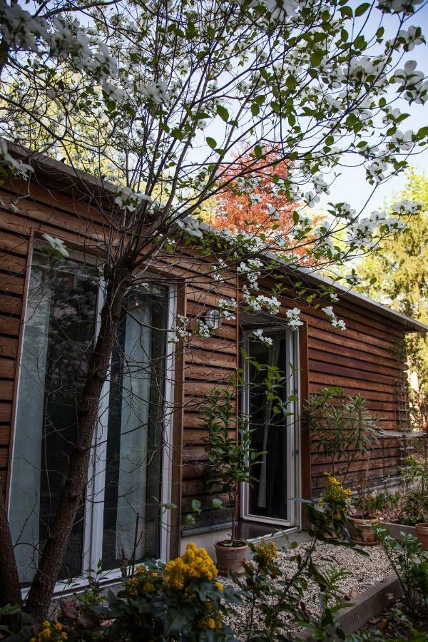 Garden-Loft Nuernberg Apartment Exterior photo